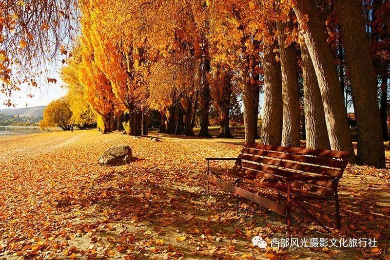 栗子煮还是蒸好吃